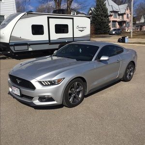 Meet your Posher, Steven